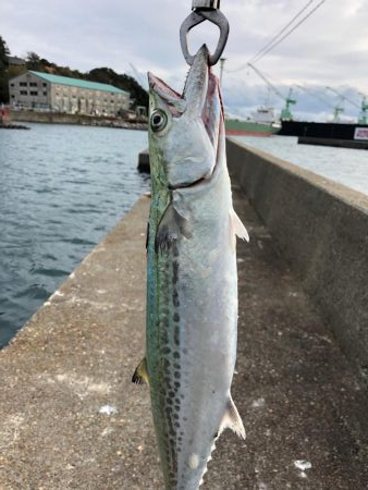 スーパーライトショアジギング